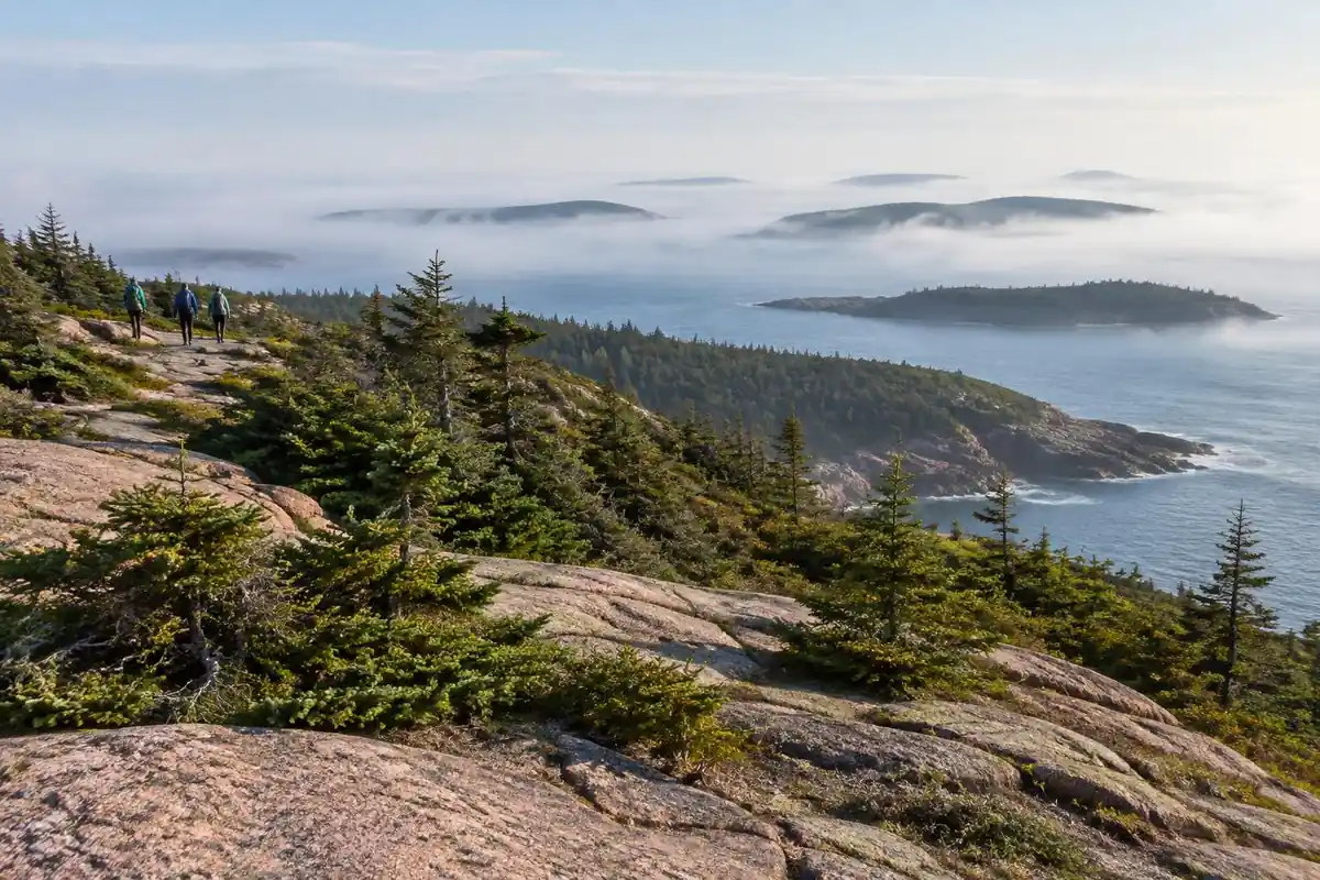 Pink granite ledge above a rocky Atlantic coast with spruce and sea mist