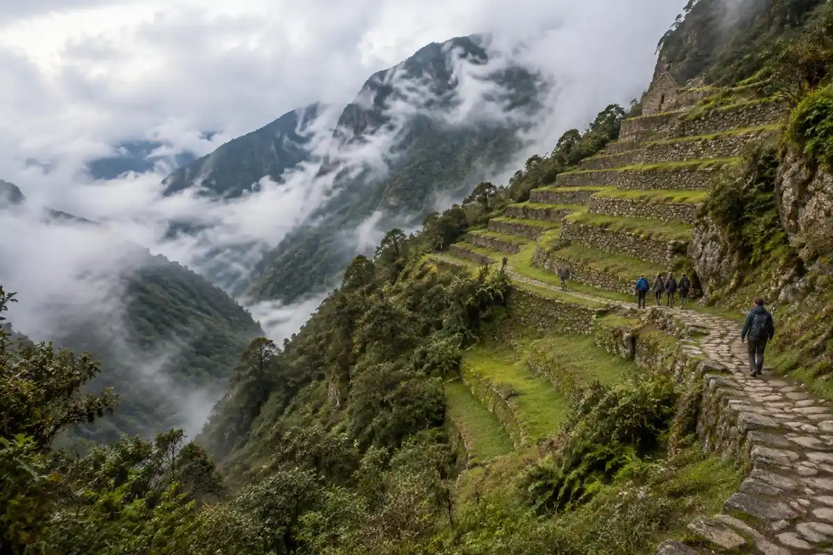 Stone terraces and cloud forest hillside with a winding stone path