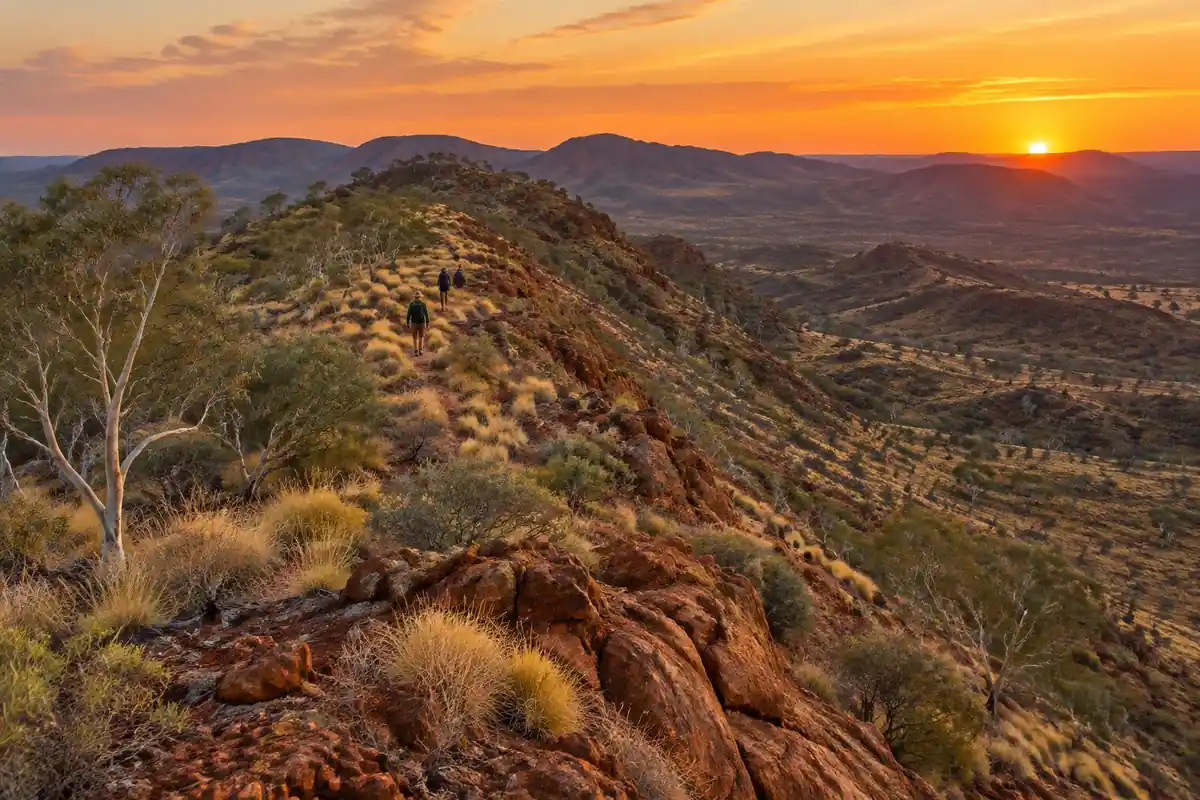 Red rock desert ridge with ghost gums and golden spinifex at sunset