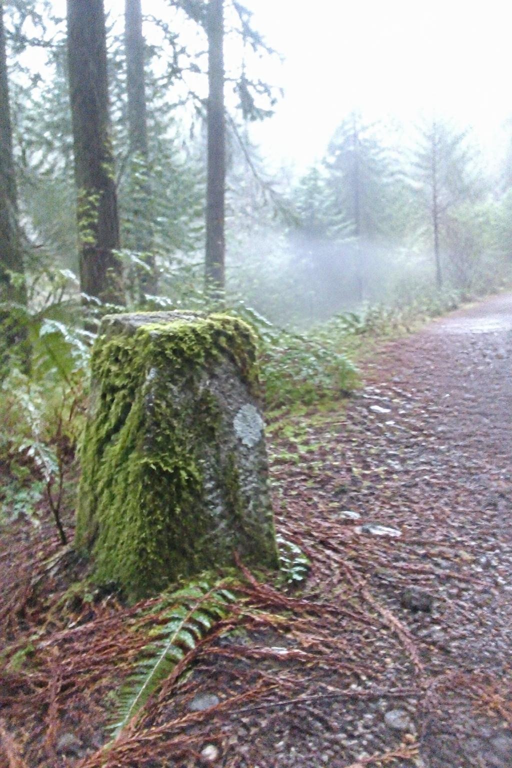 A small moss-covered stone marker beside the path among trees