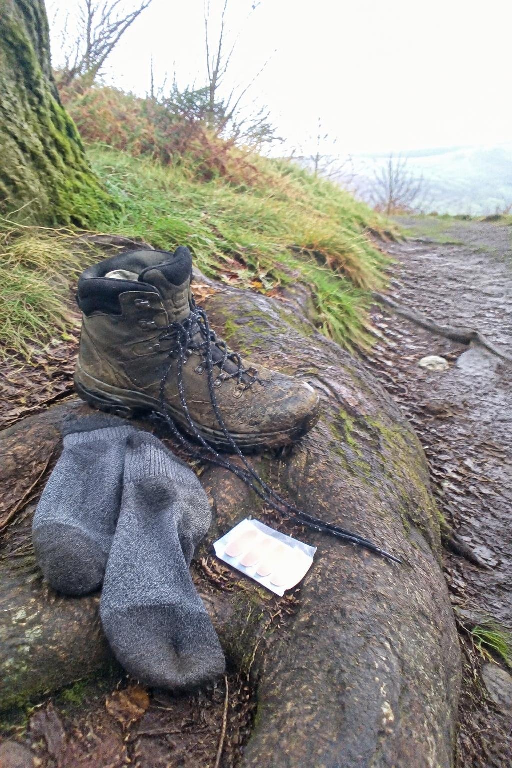 A boot and a pair of damp socks left on a root