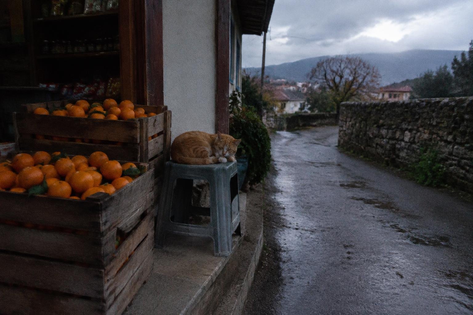 A small hillside shop in Takahara with crates of fruit outside and a cat