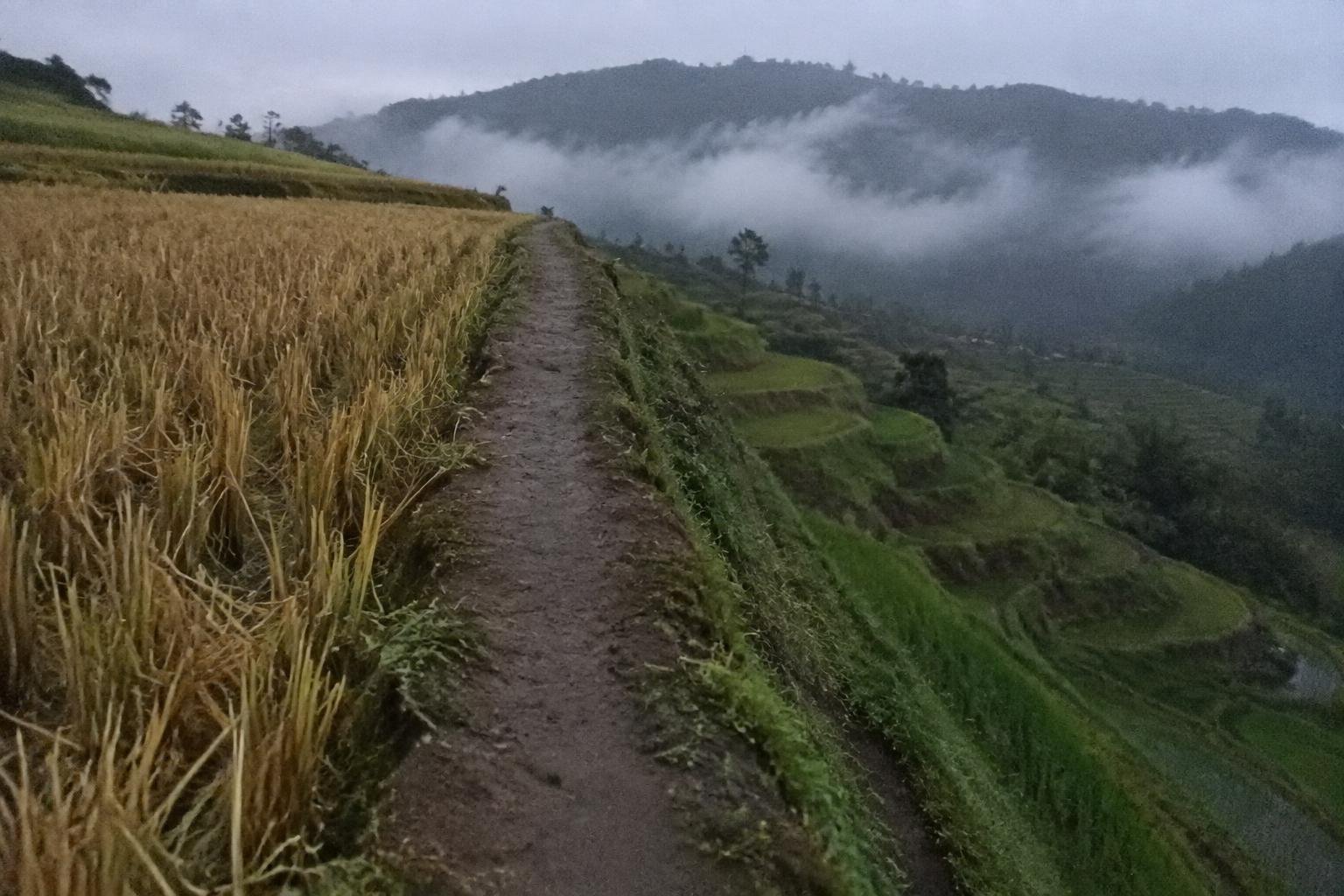 Mist lying over stepped rice terraces in the Sapa hills, with one narrow mud path along a terrace wall