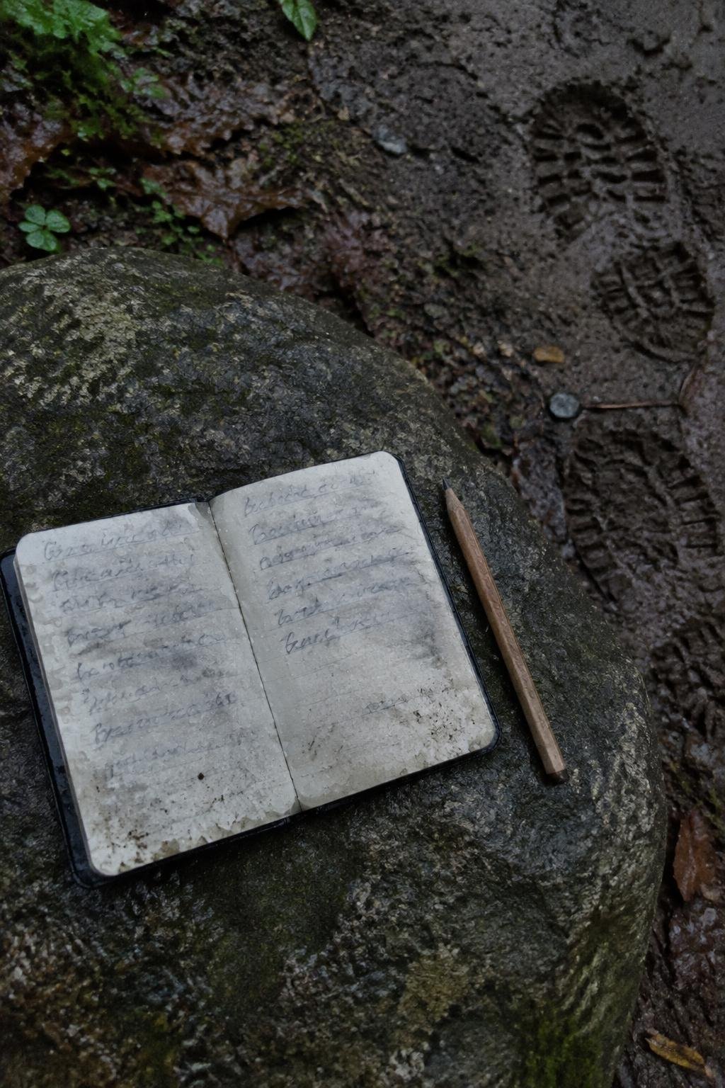 A waterproof notebook open on a stone with a pencil beside it