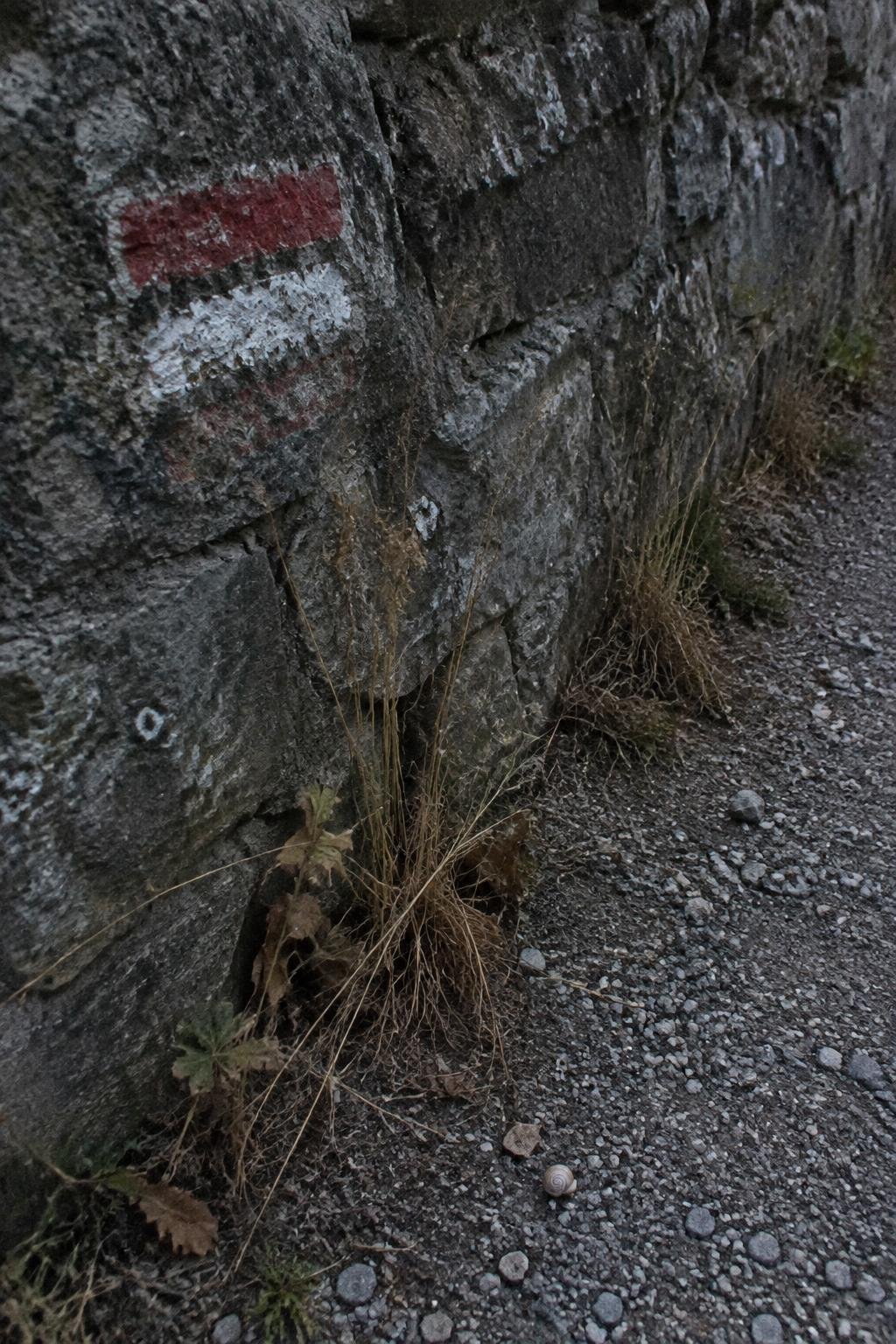Red and white paint waymarks on a rough stone wall