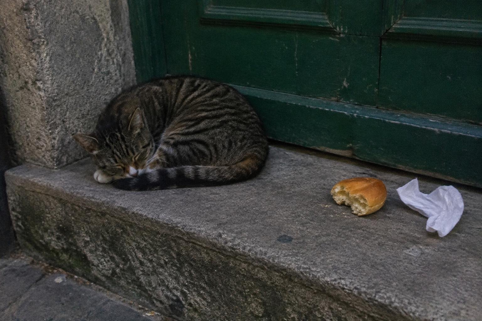A cat sleeping on a warm stone step beside a half-eaten bread roll